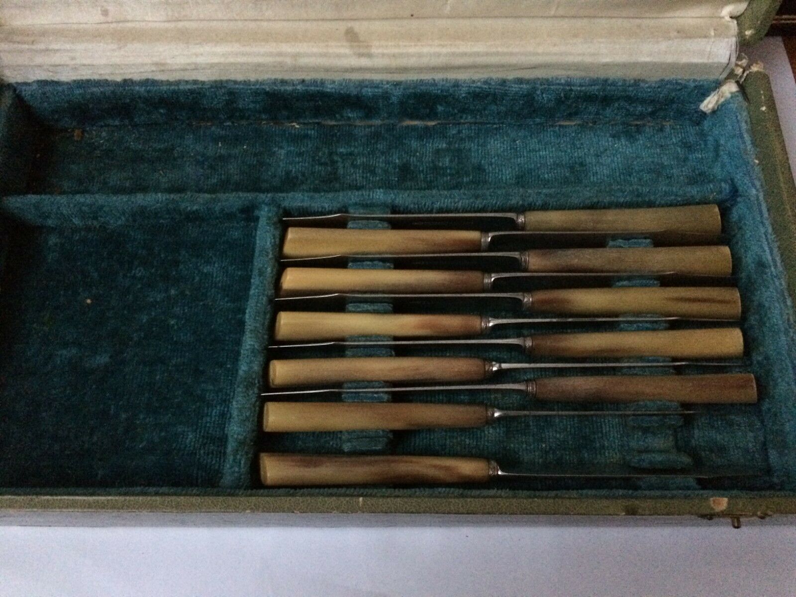 Set of 12 large knives and 11 horn and steel dessert knives
