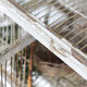 Great aviary bird cage nineteenth century