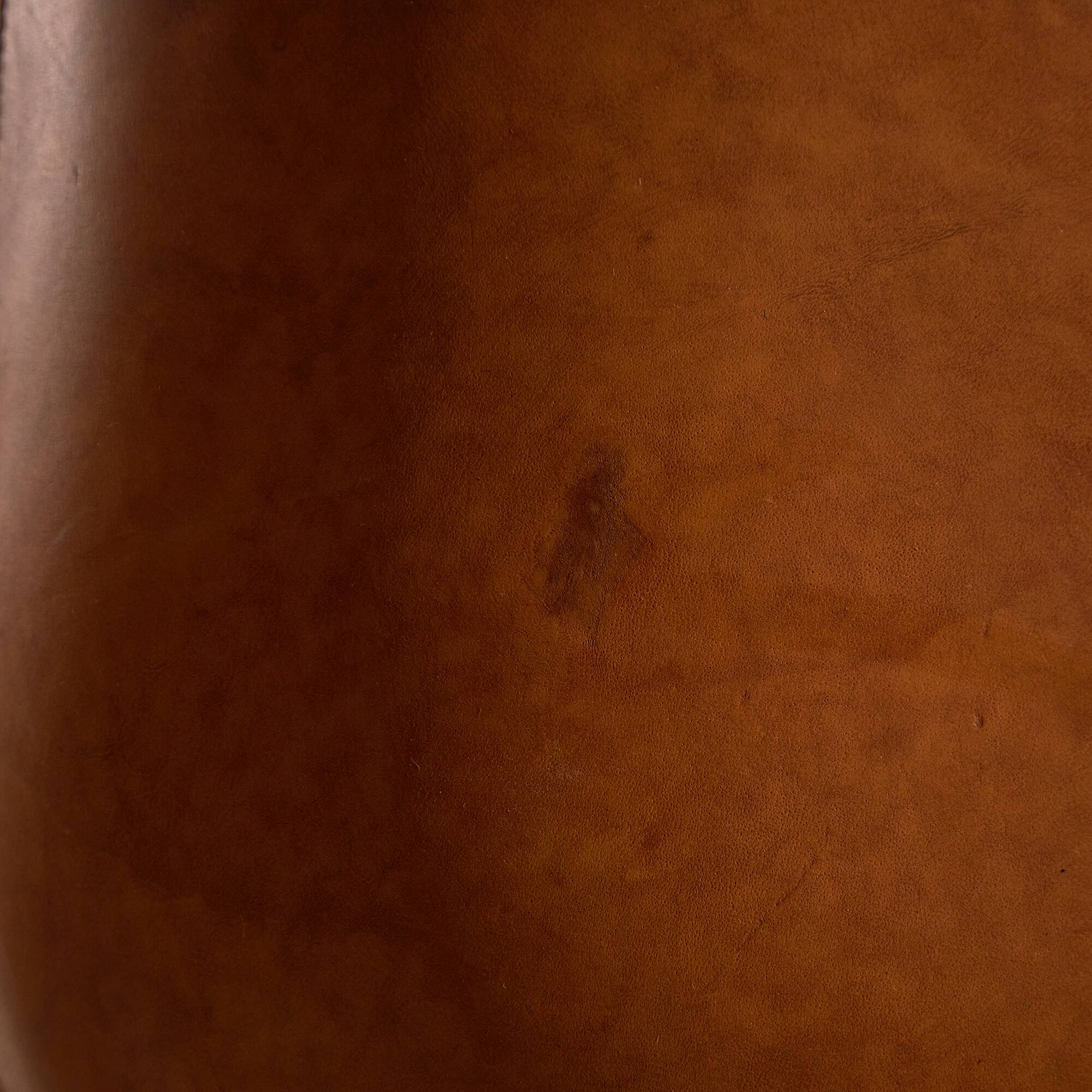 Light Warm Brown Leather Sofa Set