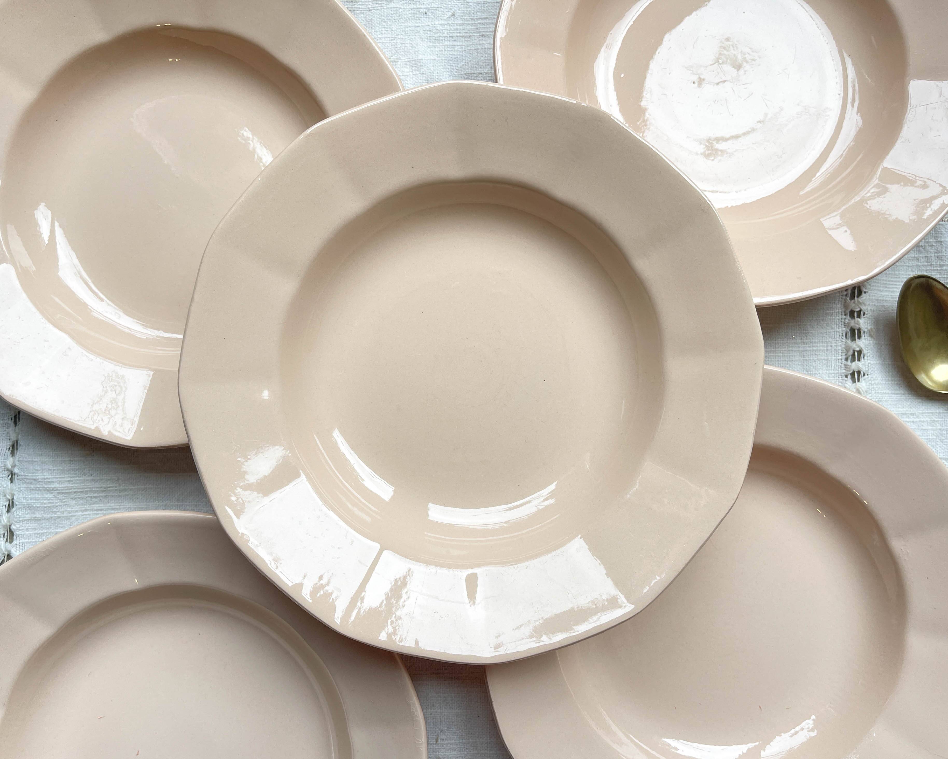 5 Vintage Rose Porcelain Soup Plates Digoin Sarreguemines