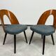 Chaises de salle à manger de style milieu du siècle par Antonín Šuman pour Tatra nábytok Pravenec