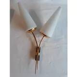 Pair of double organic design wall lights 1950s