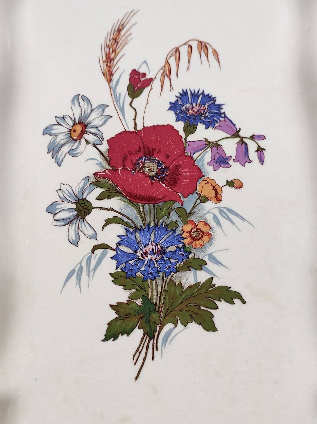 Sarreguemines Agreste cake dish