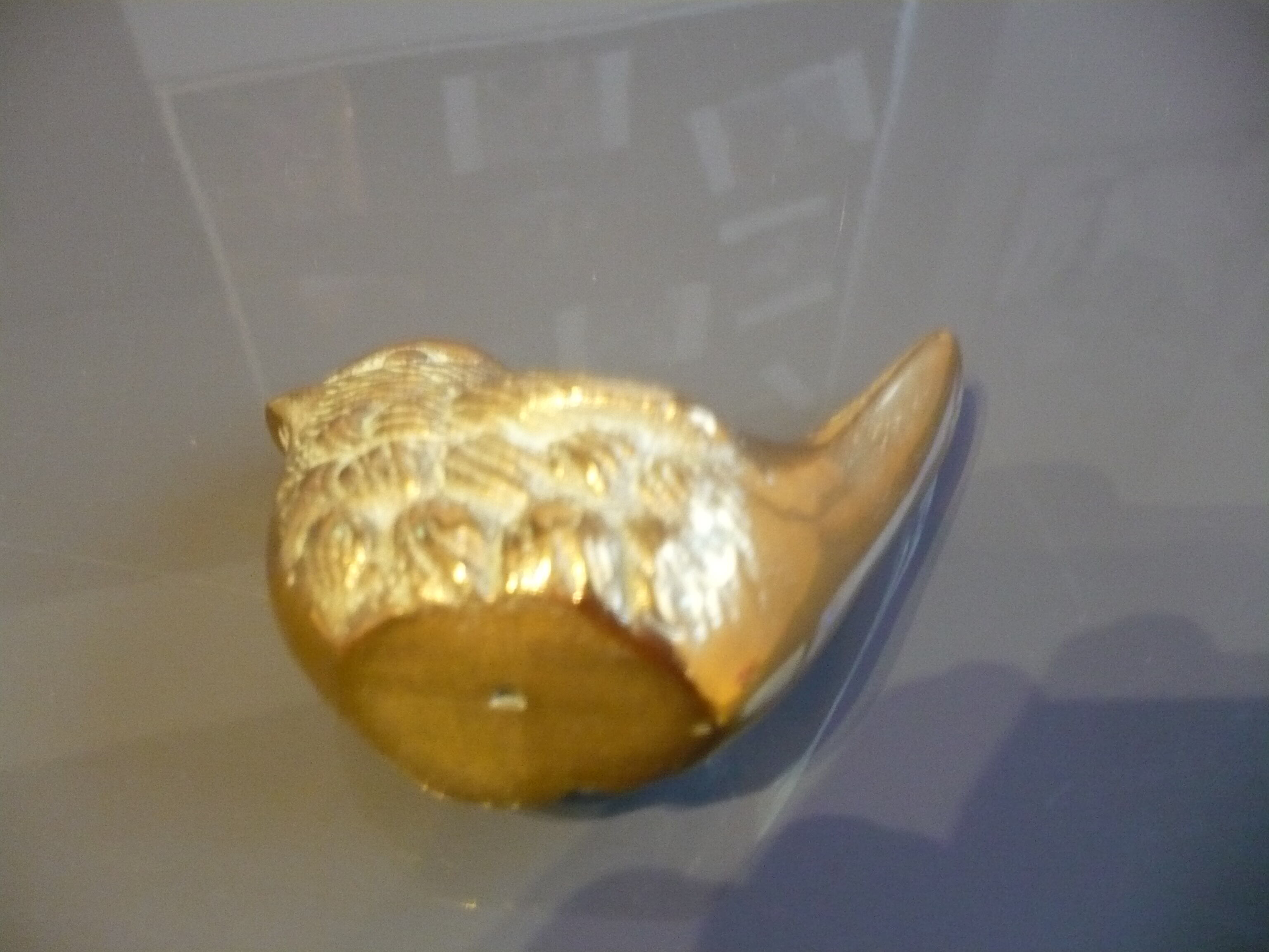 Brass sparrow