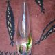Very original vintage Swedish glass vase.