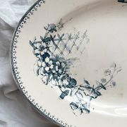 Plat ovale en terre de fer fleurs oiseaux "Malaga" Petrus Regout