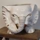 Elephant plant pot