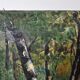 Tableau - Oil on canvas Verdant landscape river Signed M De Livenaye 197
