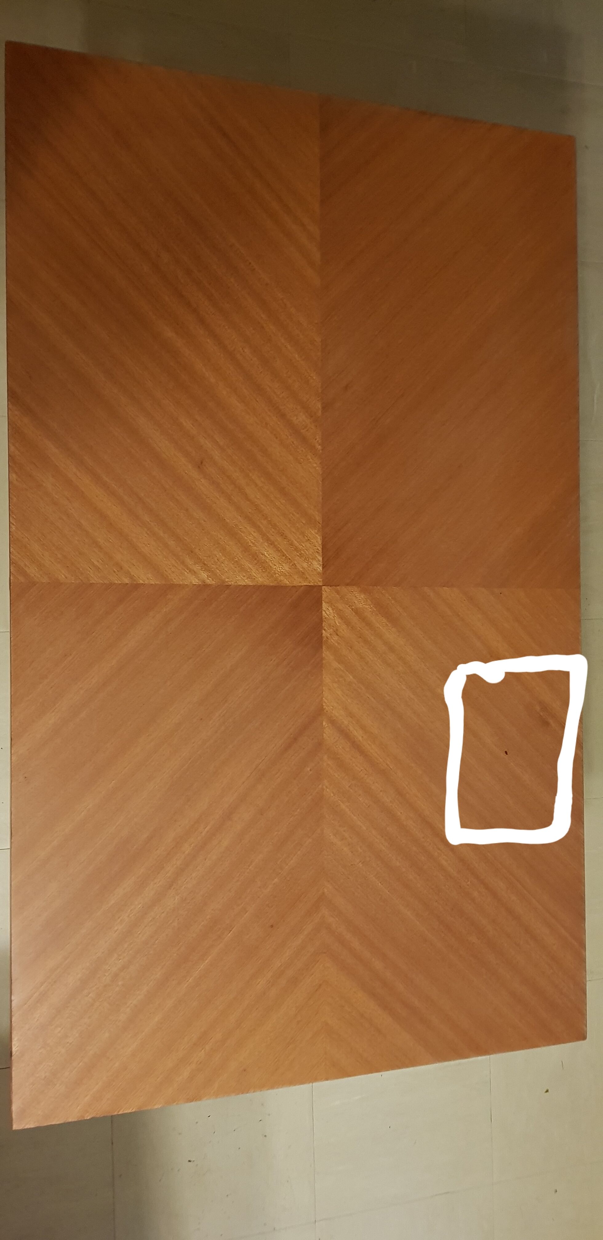 Table "junior revelation" Albert Ducrot for Ducal 1950