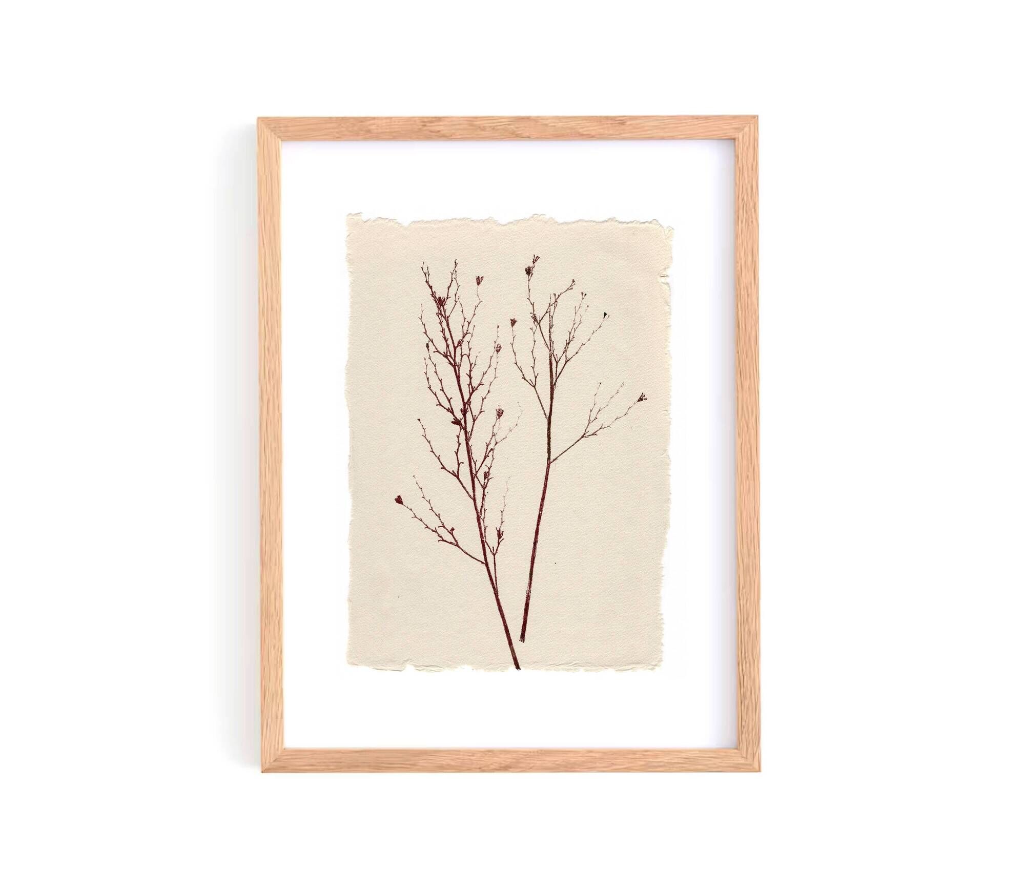 Collection of 4 herbarium paper paintings signed Eawy.