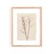 Collection of 4 herbarium paper paintings signed Eawy.
