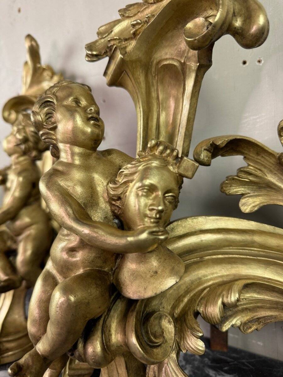 Paire de chenêts en bronze ciselé et doré d'après un modèle de Jacques Caffieri, Paris XIXème