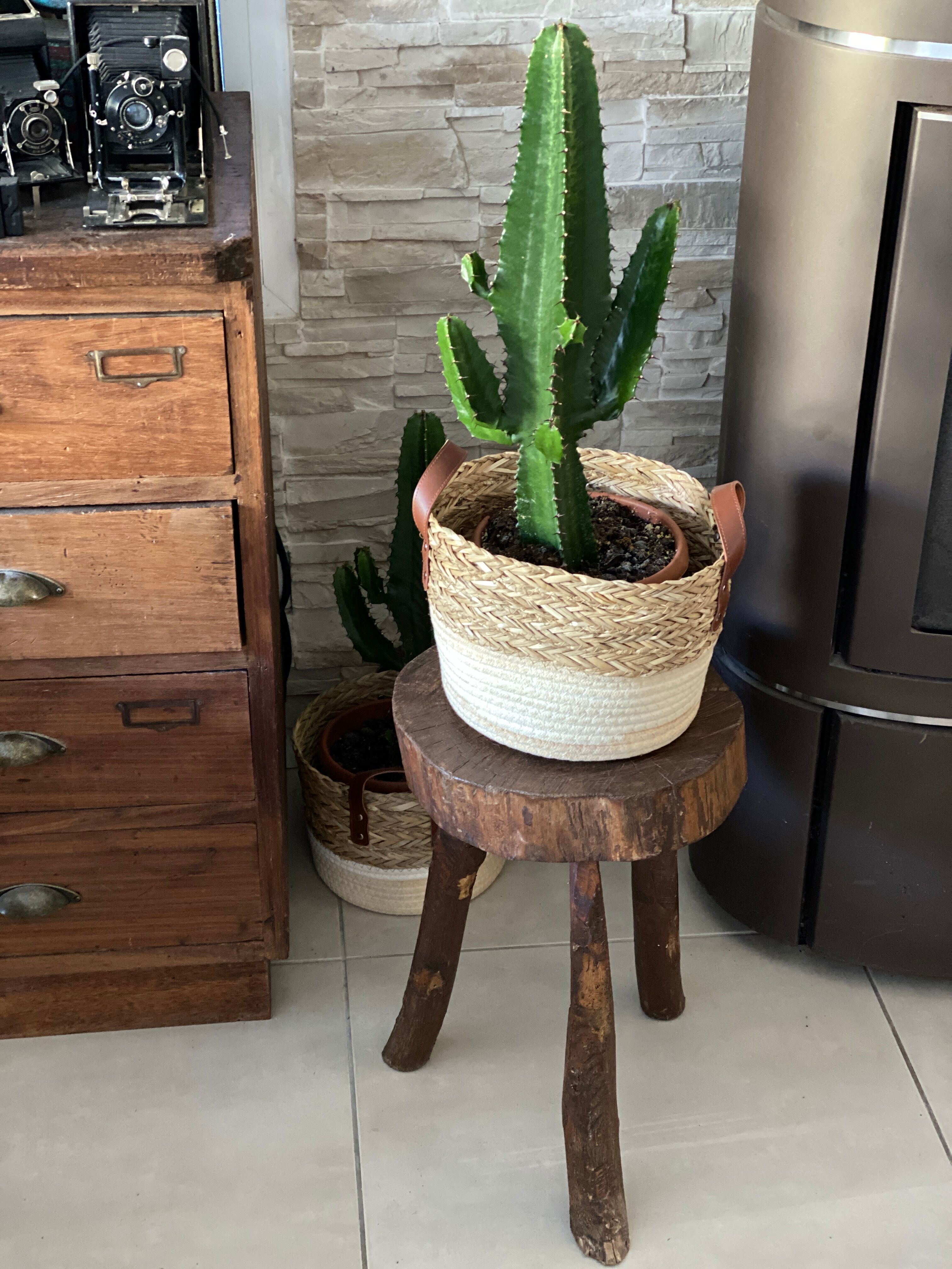 Tabouret tripode brutaliste