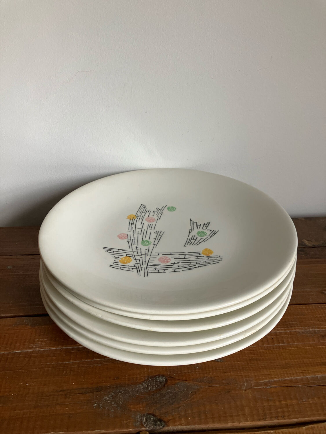 6 dinner plates