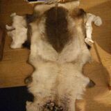 Reindeer skin rug