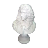 Bust Molière by Houdon