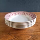 6 assiettes creuses terre de fer St Amand "Mûrier"