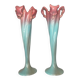 Paire de grands vases art nouveau