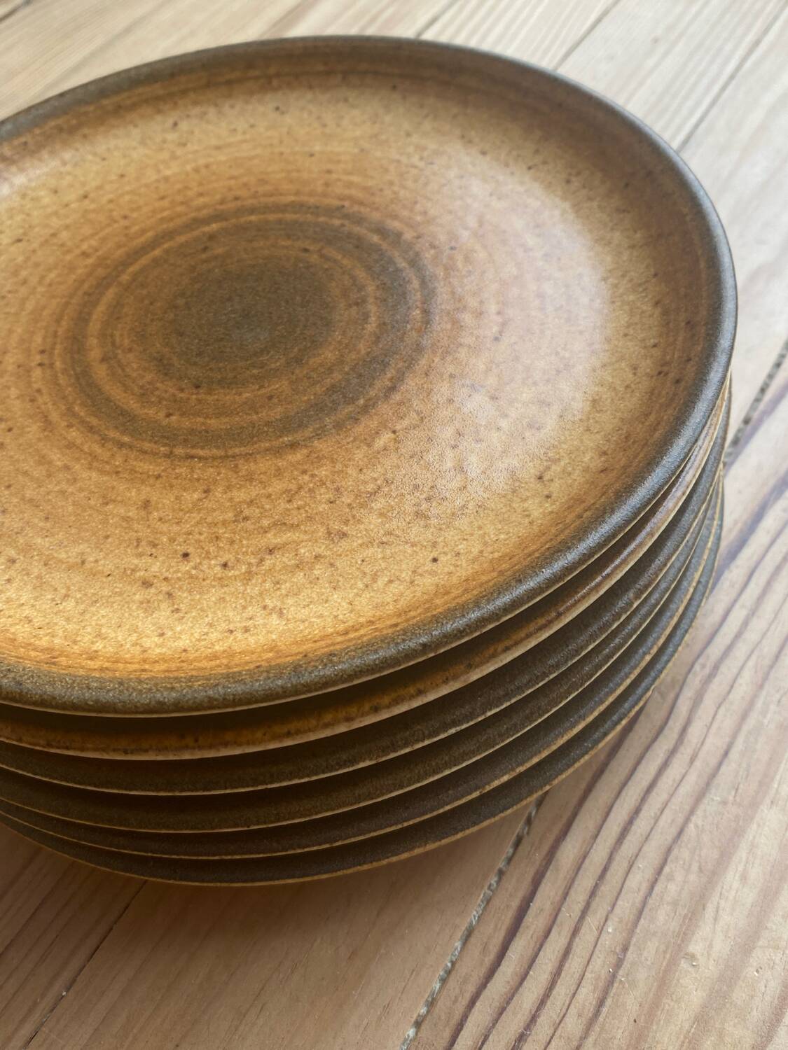 6 assiettes Longchamp motif spirale
