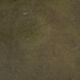 Bibliotheque tournante en acajou anglaise XXe pieds griffes cuir vert