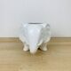 Ceramic elephant plant pot