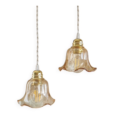 Duo de Lampes Baladeuses Vintage, Globe Tulipe en verre fumé