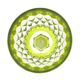 Armagnac wine glasses in green crystal by Baccarat, 1970s, set of 6.