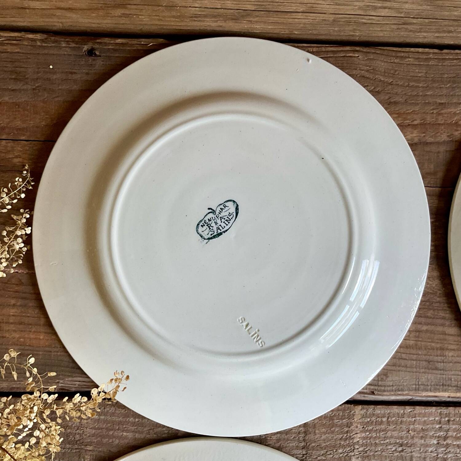 4 Nénuphar plates R & A Salins