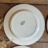 4 Nénuphar plates R & A Salins