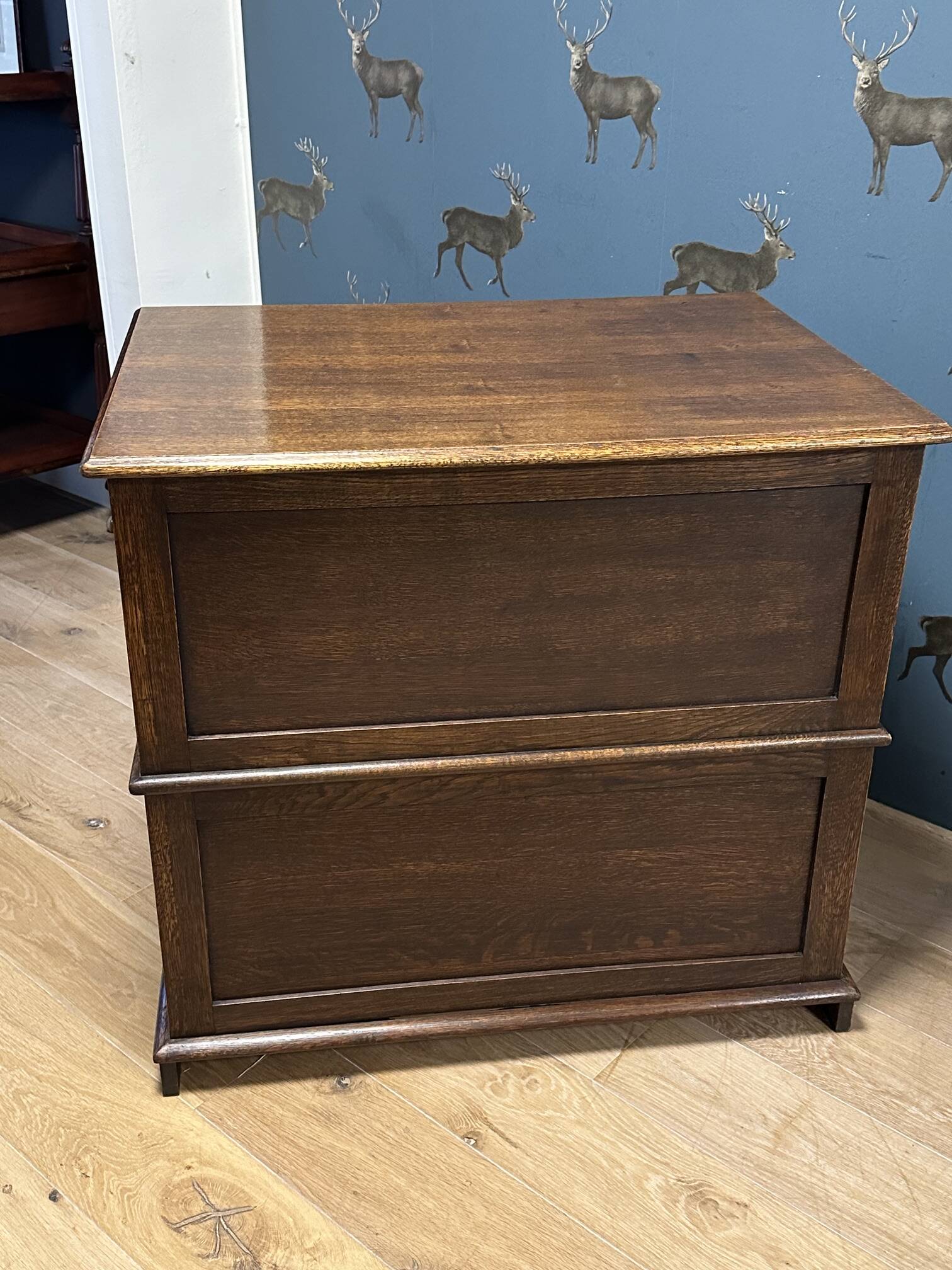Antique oak drawing cabinet / map cabinet / architect's cabinet