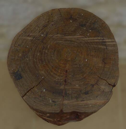 Large carved stool in solid oak