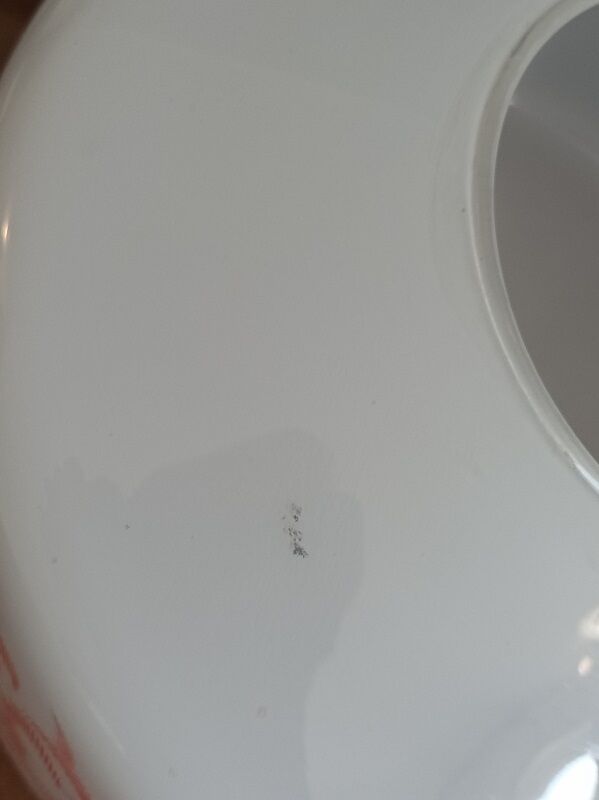 Pendant lamp globe opaline decoration flowers