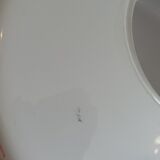 Pendant lamp globe opaline decoration flowers