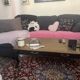 Black wood and oak coffee table – 4 storage drawers