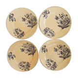 Assiettes terre de fer