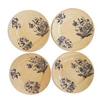 Assiettes terre de fer