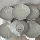 Scallop shell dish