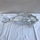 Ancient vase shape fish glass