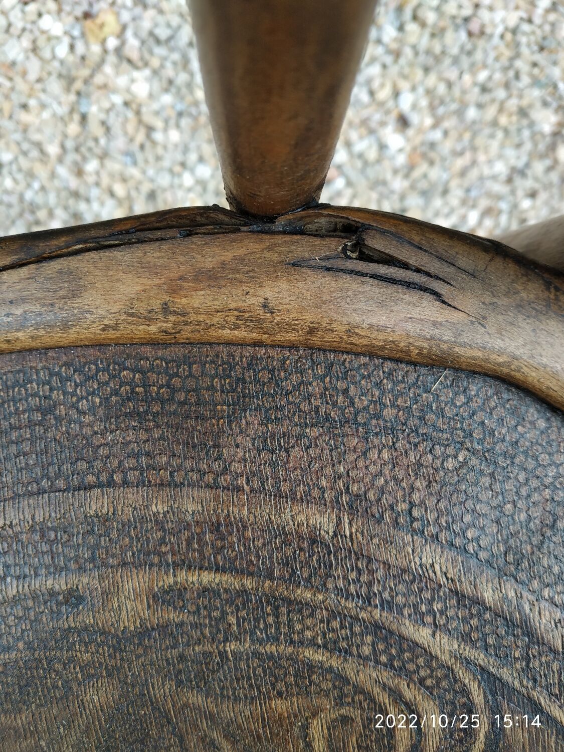 Paire de chaises Baumann