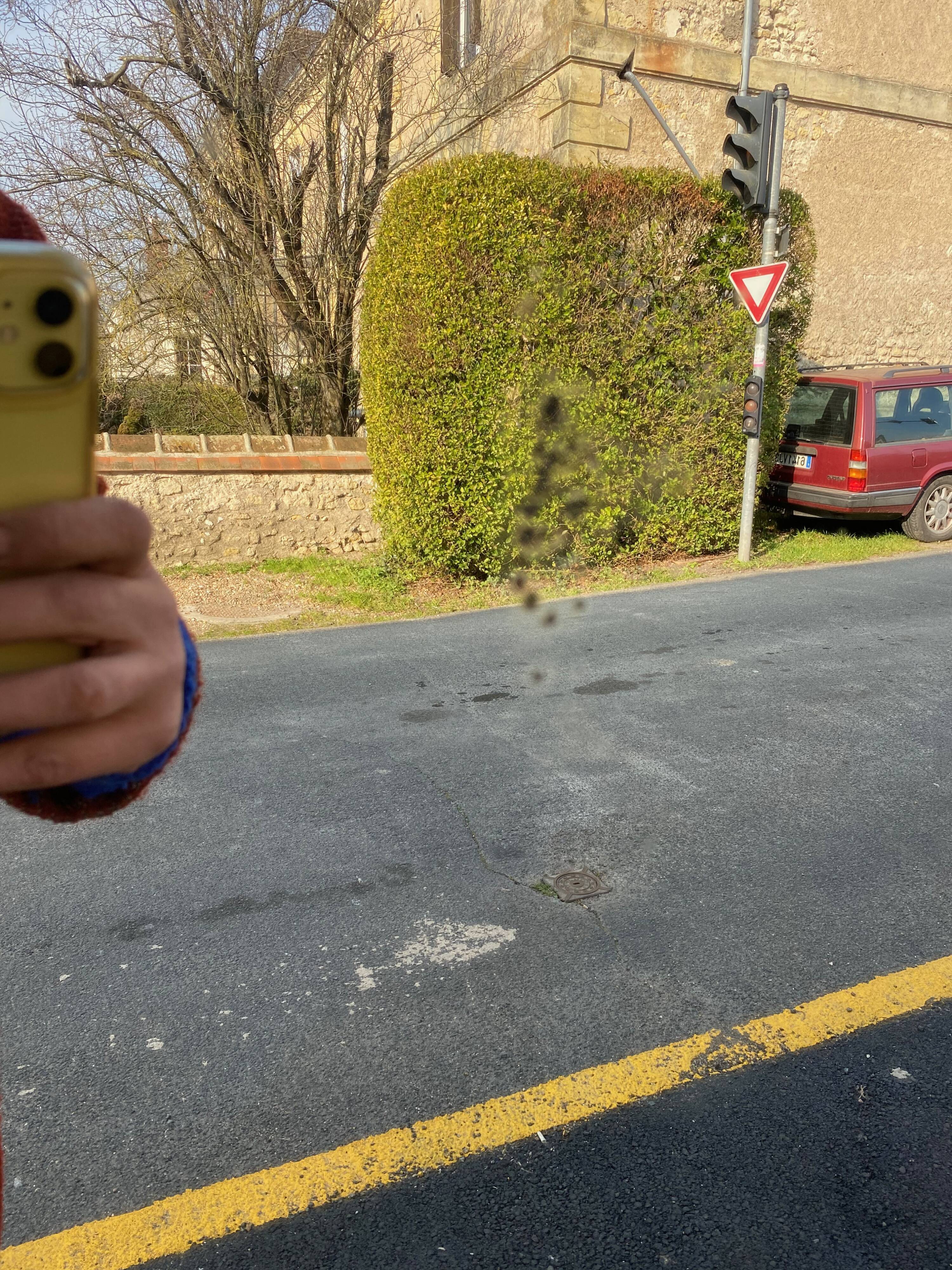 Louis-Philippe mirror