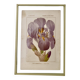 Botanical plate