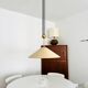 Large Adjustable Pendant Lamp with Counterweight by Florian Schulz