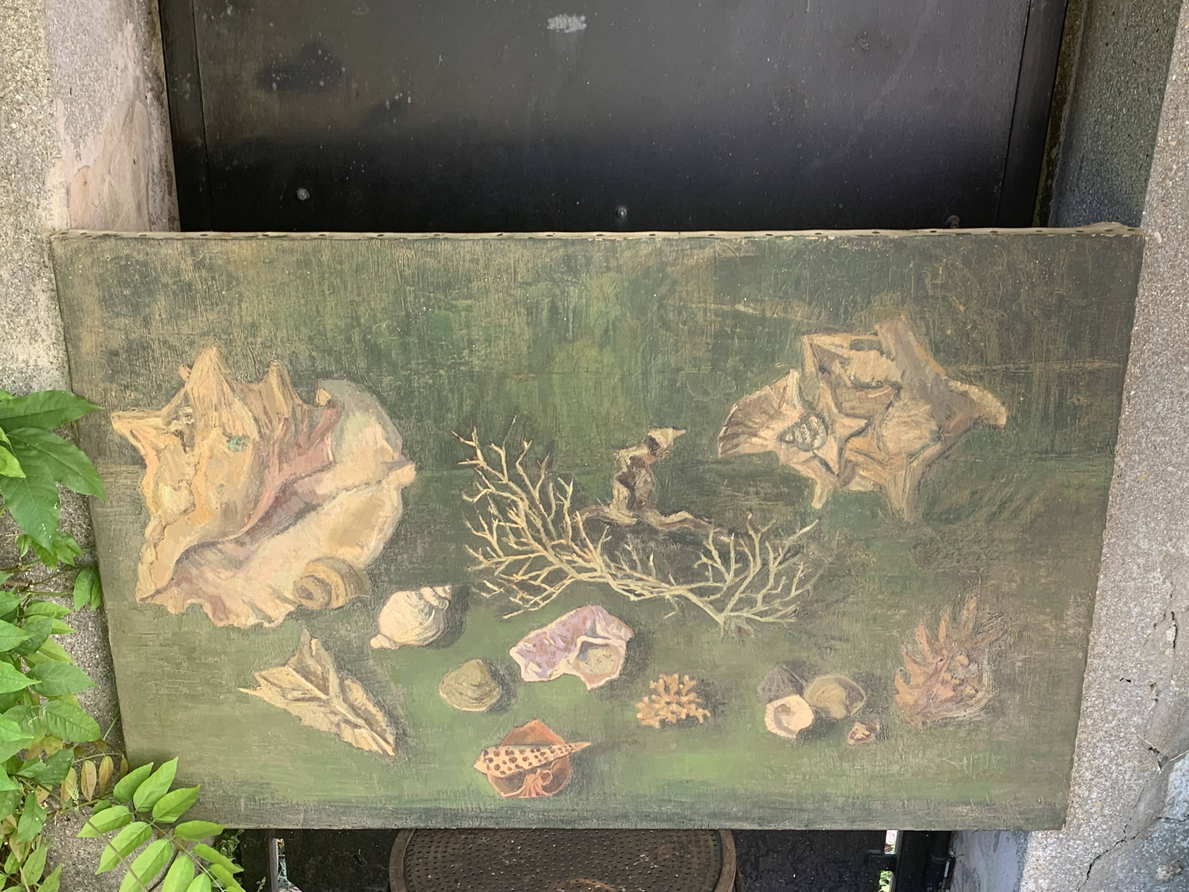 Large painting of shells, cabinet of curiosities, sign, vintage