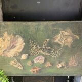 Large painting of shells, cabinet of curiosities, sign, vintage