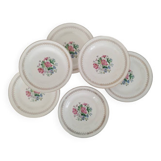 Antique Opaque Porcelain Digoin Sarreguemines Dinner Plates Vintage Pamo Model