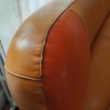 Poltromec Space age vintage "Frog" sofa