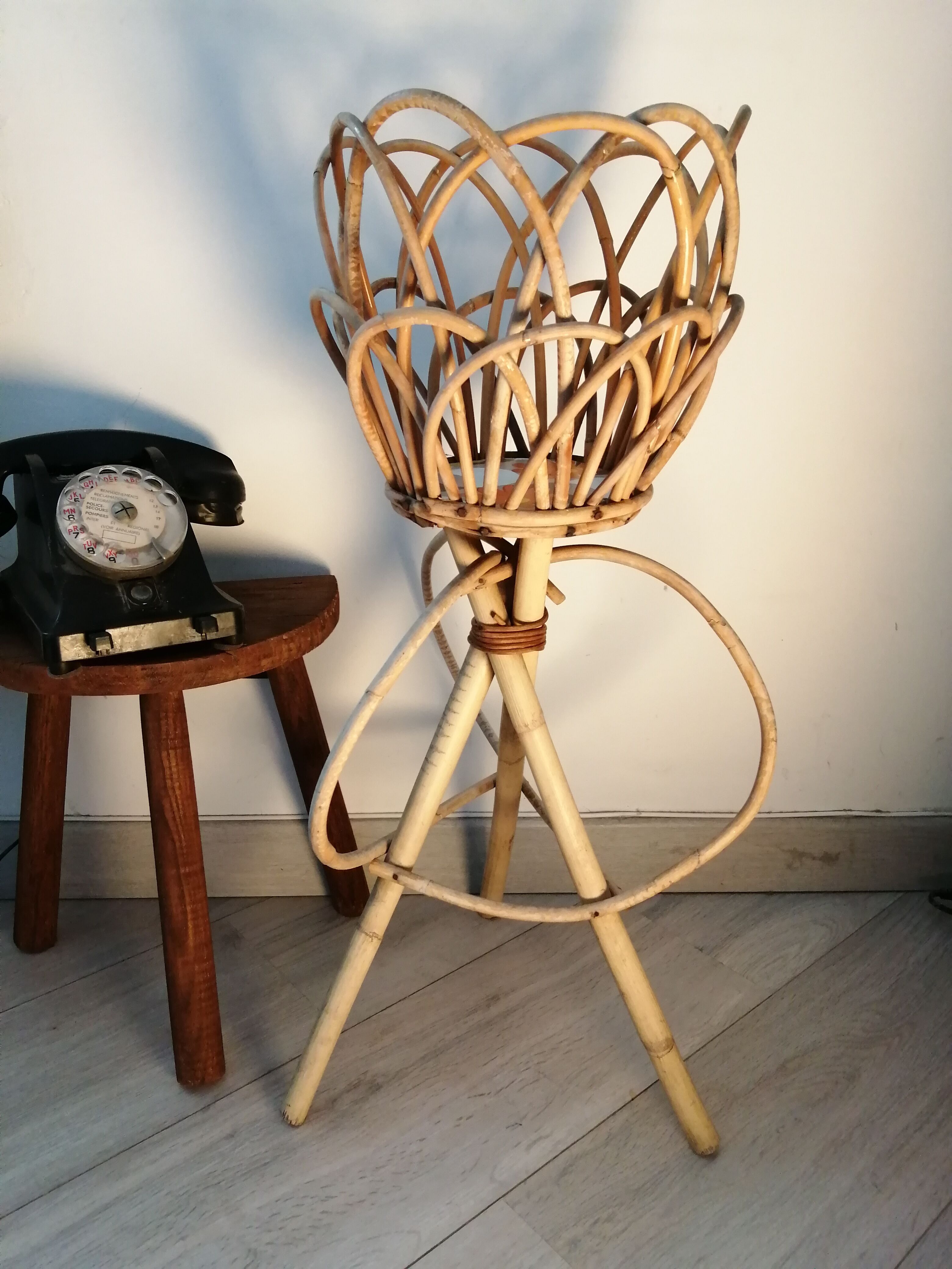 Door rattan plant 60s