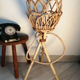 Door rattan plant 60s