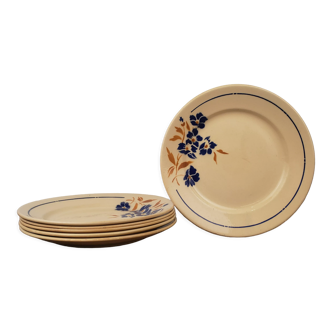 Assiettes plates Badonviller