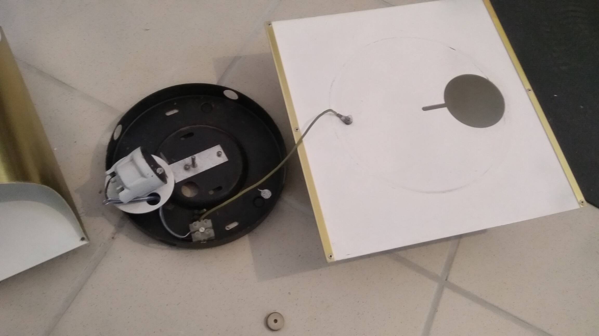 Pair of Staff 1970 wall lights in gold color